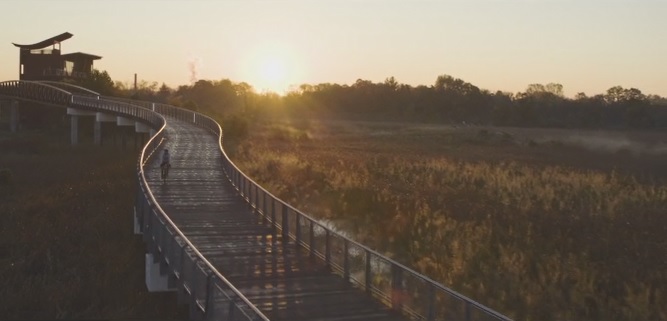 walking trail