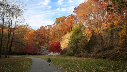 nature trail in the fall with trees in the background and a small child walking ahead on the path